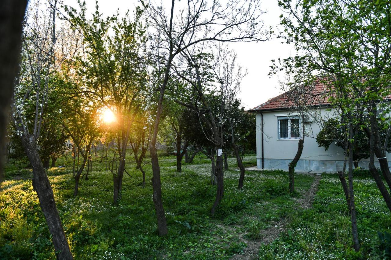 Nicolaus Hidden Gem Villa Shkodër Exteriér fotografie