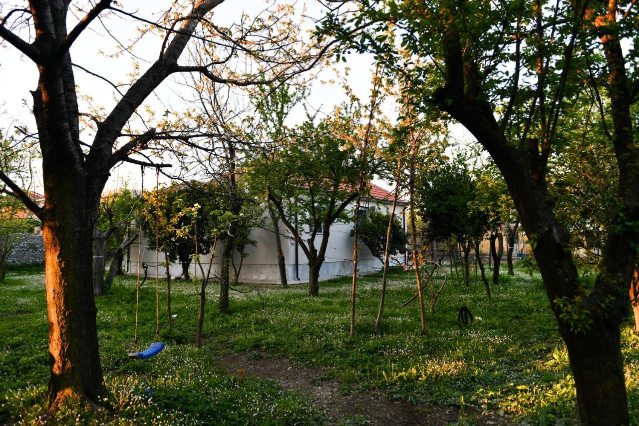Nicolaus Hidden Gem Villa Shkodër Exteriér fotografie