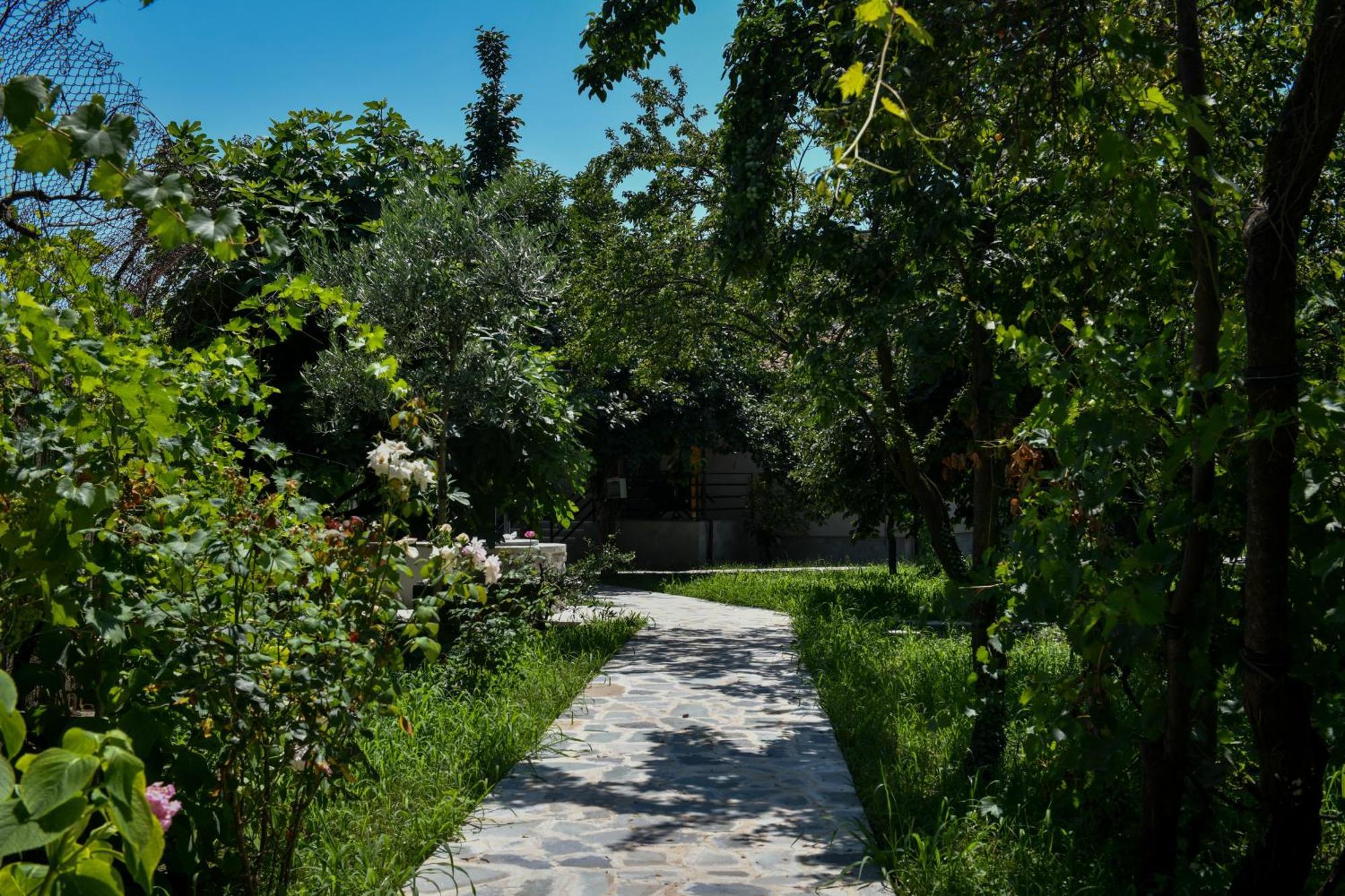 Nicolaus Hidden Gem Villa Shkodër Exteriér fotografie